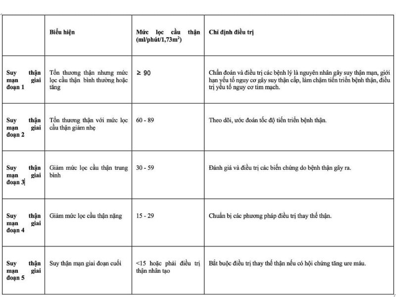 Bệnh Thận Mạn Là Gì?