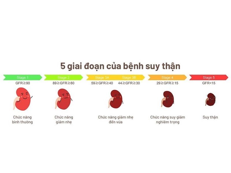 Phân Độ Bệnh Thận Mạn